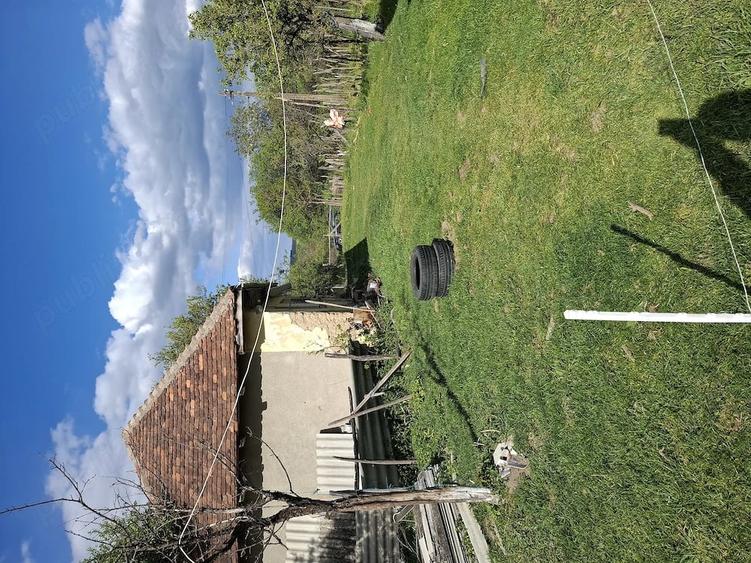 Casă cu Teren 7200 Mp în Meseșenii de Jos