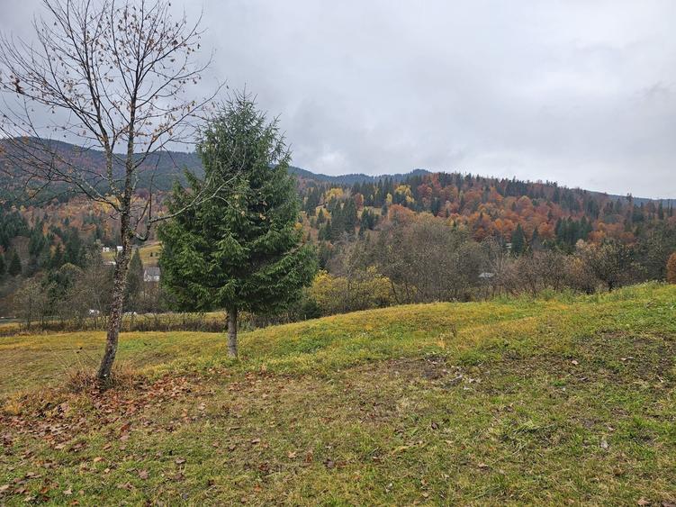 Casă cu 2 camere cu Teren 15000 Mp în Petru Vodă