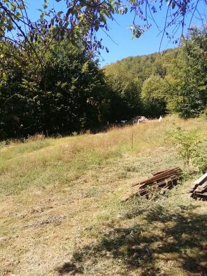 Teren de 4100 mp, în Central