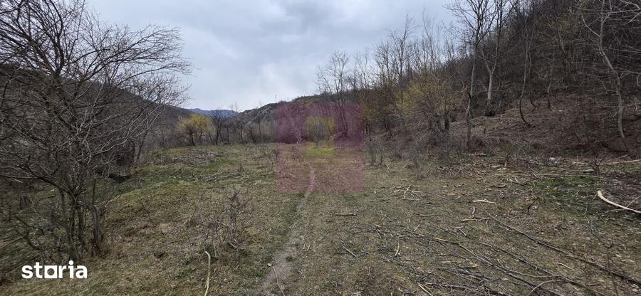 Teren de vanzare in Brebu - Raul Doftana - 2