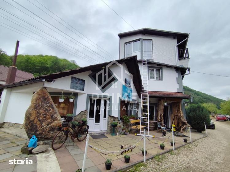 Casă cu 10 camere cu Teren 300 Mp în Câlnic