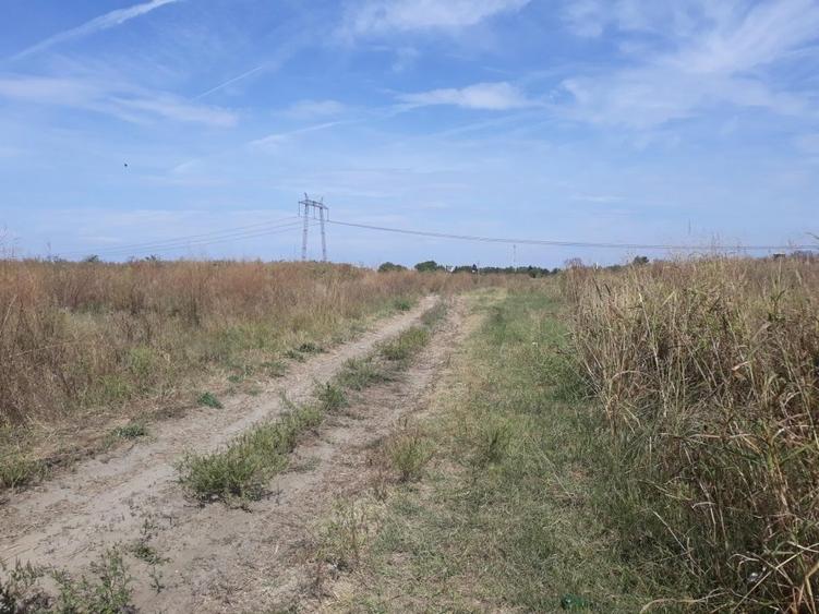 Teren agricol intravilan de 6000 mp, în Bolintin-Vale