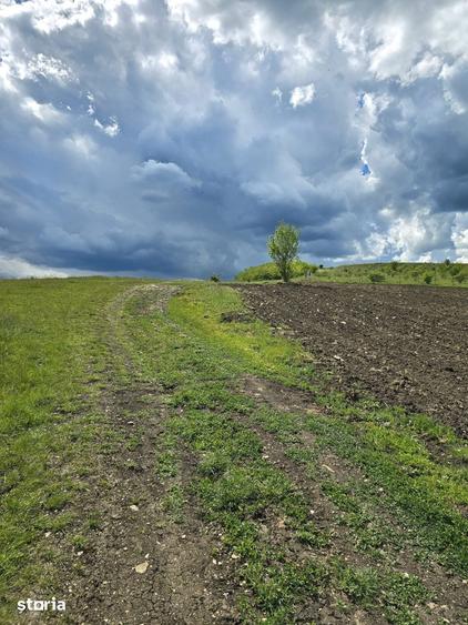 Teren de vanzare Cluj Napoca zona Centura Sub Coasta Emerson - 6