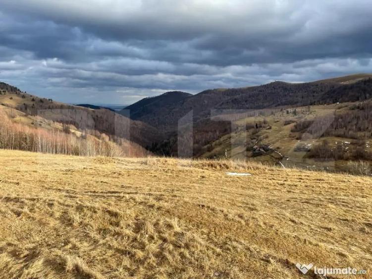 Teren Construibil - Muntele Baisorii , 5000mp - cu posibilit - 1