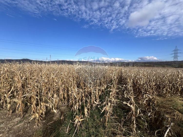 Teren extravilan agricol de vanzare - Selimbar Sibiu