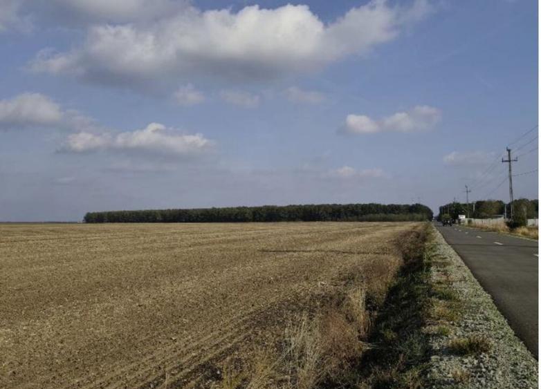 Teren extravilan Varvoru de Jos, jud Dolj - 3