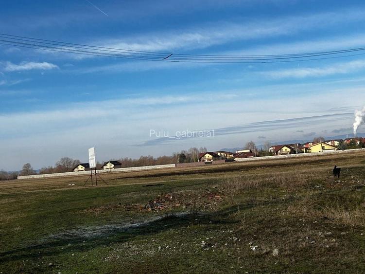 Teren de vanzare Sanpetru (soseaua de centura) Teren de vanzare Sanpetru (soseaua de centura)