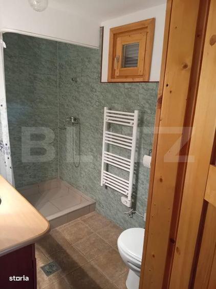 Cabana + teren generos, 60 mp utili, 30 km de Deva - Boz - 3