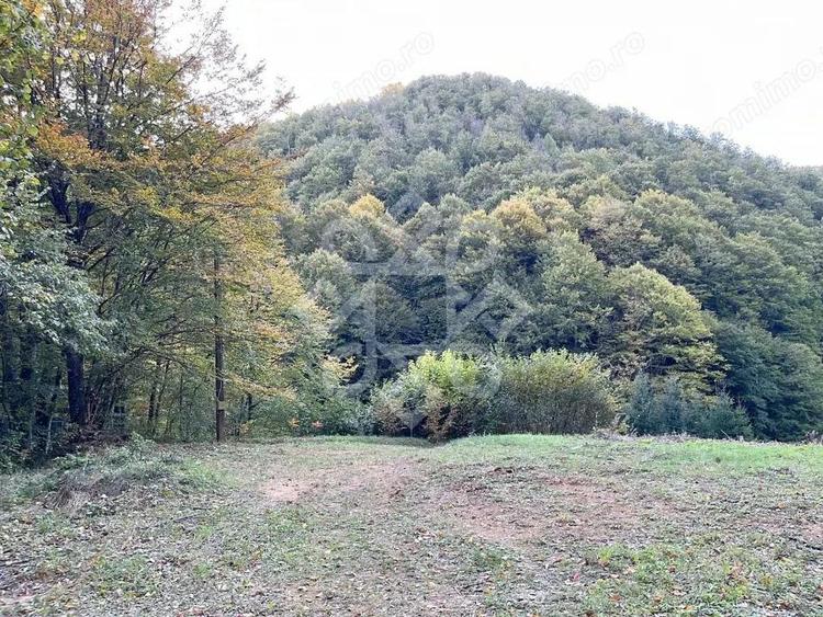 Teren pentru casa de vacanta pe Valea Bratcutei, Bihor - 7