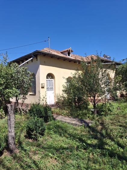Casă individuală cu 5 camere cu Teren 2500 Mp în Valea Roșie