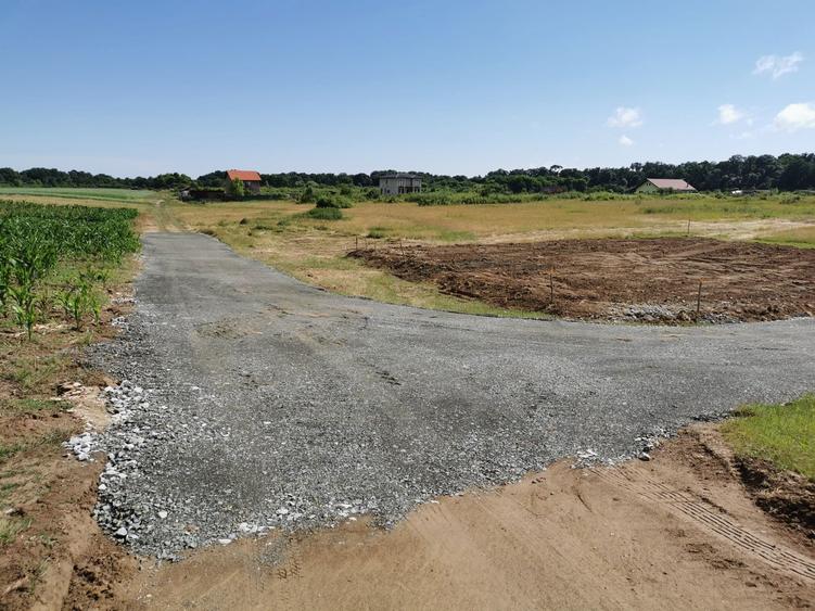 Teren de vanzare padure Giroc - 4