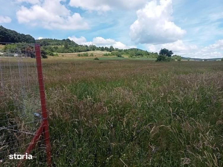 Teren 1580 m2 intravilan si casuta la rosu - 7