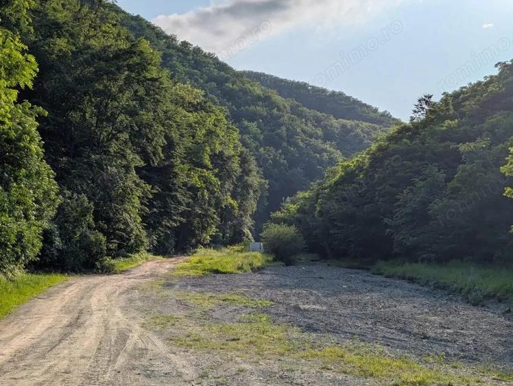 Sarata Bai- Oportunitate investi?ie- 4038 mp- priveli?te spectacol - 13