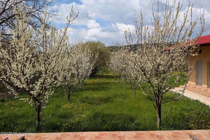 Casă cu Canalizare în Bălilești
