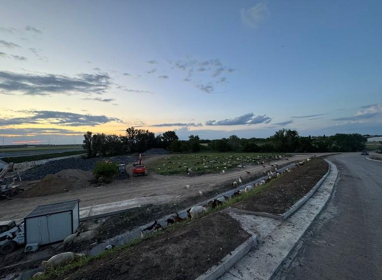 Teren la A0 vizibilitate excelentă 300 de m. de viitoarea prelungire Timișoara - 3