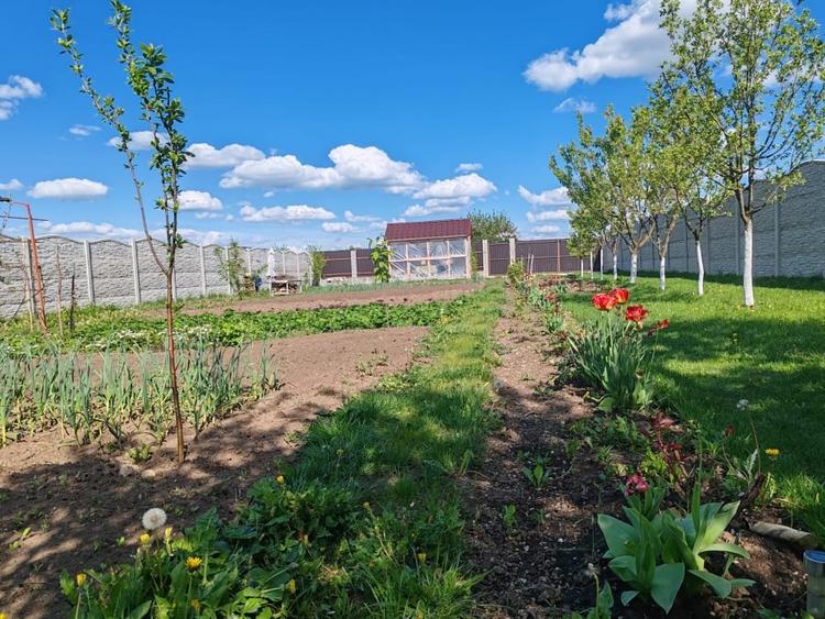 Teren  Harman intravilan  cu utilitati  ! - 6