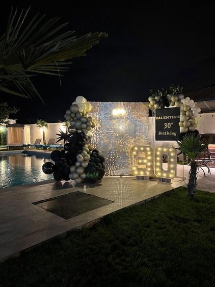 Vila Petrecere cu piscina Vila petreceri cu piscina de inchiriat - 8