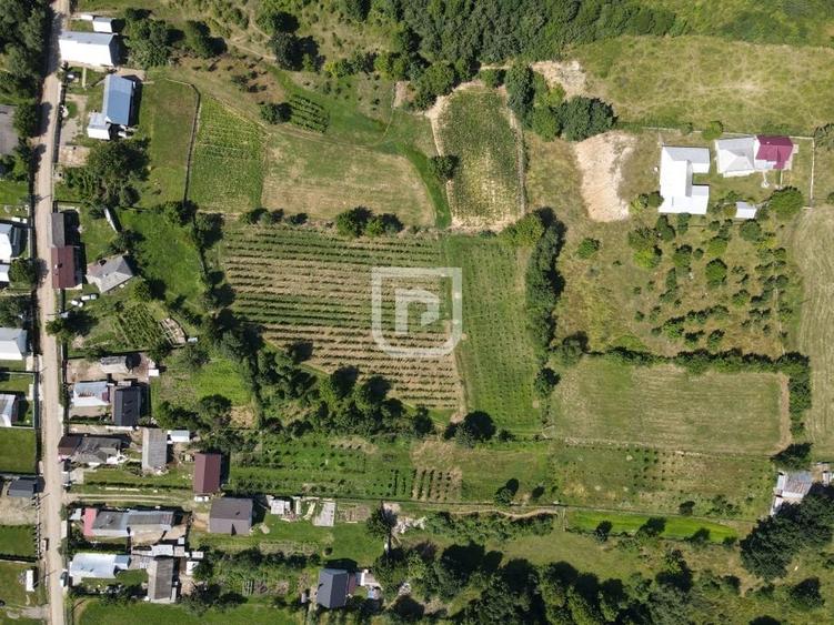 Casa la tara cu 30 ari Rasca - 15