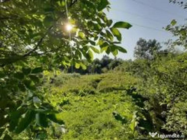 Teren superb Valcanesti Prahova - 4