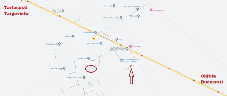 Tartasesti, Gulia - 11