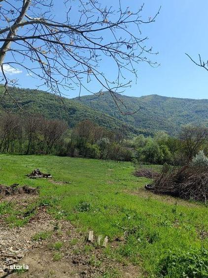 Vand teren in herculane - 1