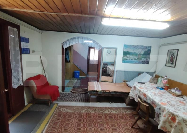 Cabana 5 camere Salard - 3