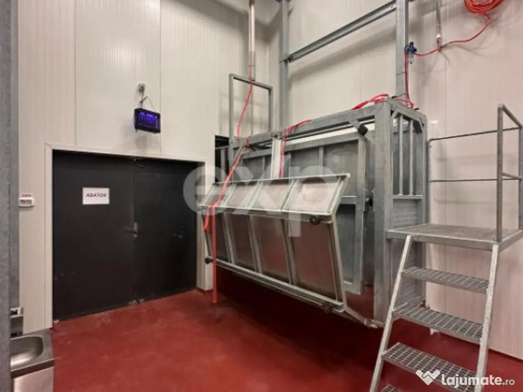 Black Angus Farm with authorized Slaughterhouse - 10