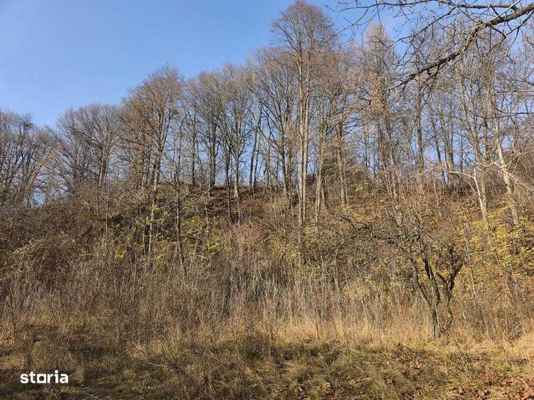 Teren intravilan Breaza 4,000mp cu utilitati. Panorama. Intimitate. - 8
