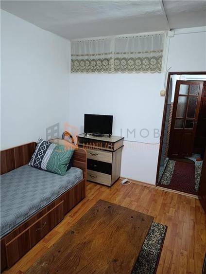 Camera de camin zona Dragaica - 3