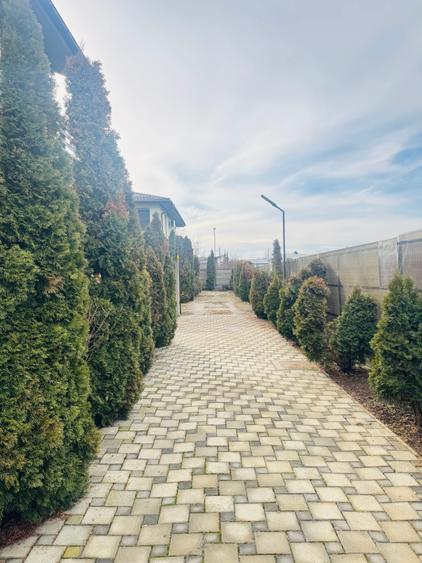 Vila P+E, Pipera, British School - 25