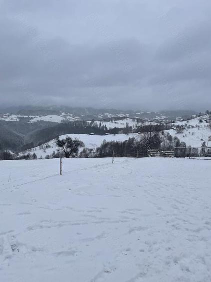 Casa de vacanta sat Pestera, Brasov - 2