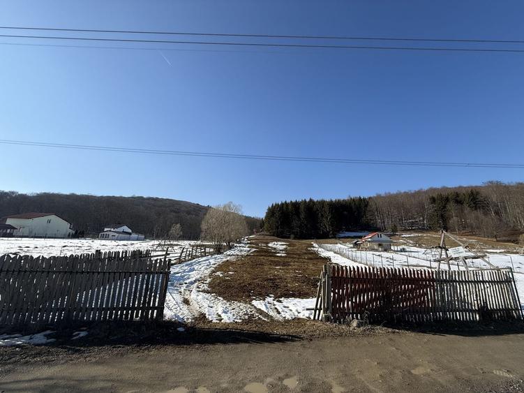 Teren intravilan 4521mp lângă pădure-valea Doftanei -Calea Brasovului - 1