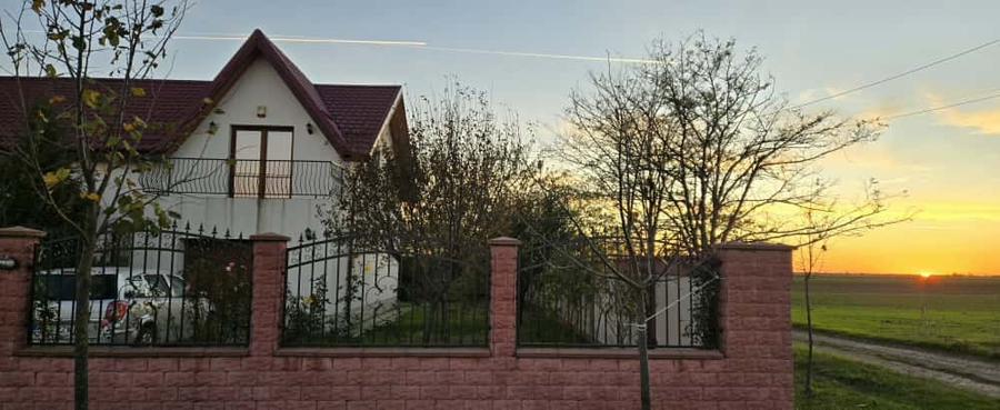 casa 197 mp, garaj, foisor, gratar, teren 780 mp la 100 m de DN 4 - 1