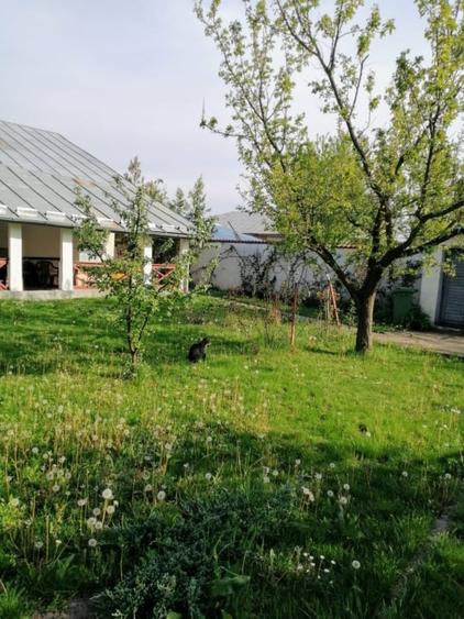 Casa 3 camere 100 mp | teren 937 mp | Vladeni central | mansarda |mobilat utilat - 4