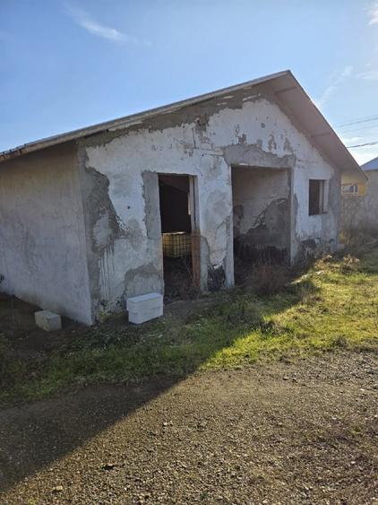Hala industriala/comerciala  - 1