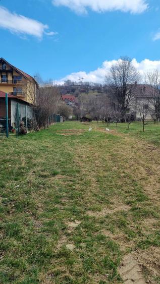 Teren de vanzare - 2