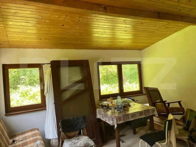 Cabana cu 4 camere, zona ?ugag - Tau Bistra - 10