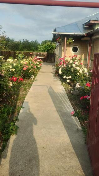 Casa de vanzare Zanoaga Jud.Prahova - 10