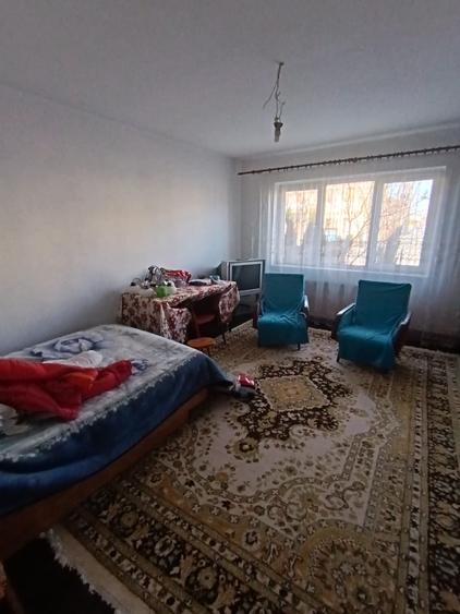 Vila pe strada Vasile Lupu - Ultracentral - 18