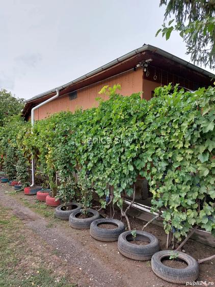 Casa de vanzare com Ulmeni jud Calara?i Casa de vanzare com Ulmeni jud Calara?i