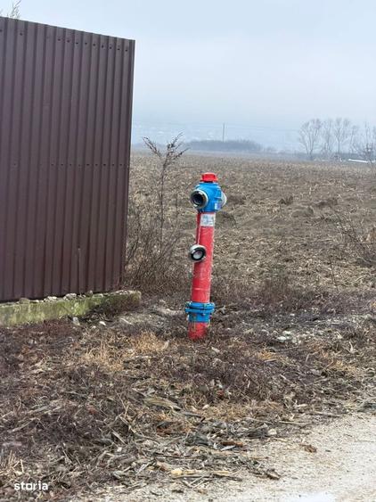 Vand Teren Hemeiusi sat Liliecipe strada prelungirea crinului - 10