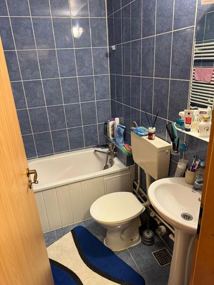 Garsoniera Cocheta - 9