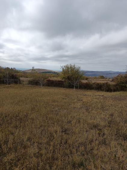 Teren intravilan Jugureni - Prahova - 5