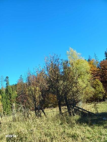 Teren la munte intre Breaza si Sinaia - 2