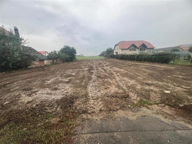 RECO, teren intravilan cu toate utilitatile in Cihei - 3