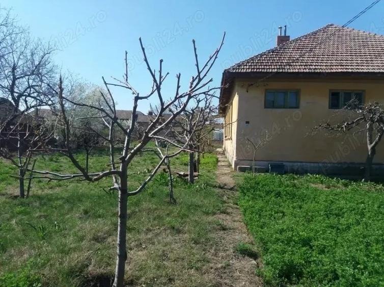 Vand Casa Maglavit -Calea Severinului - 2