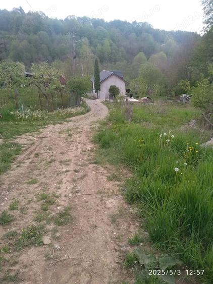 Casa batraneasca de Vanzare - 5