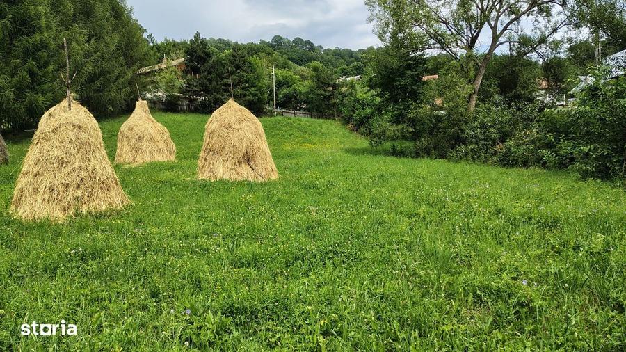 De vanzare 3159 mp TEREN INTRAVILAN Vatra Sat, oras Comarnic 40Euro/mp - 5