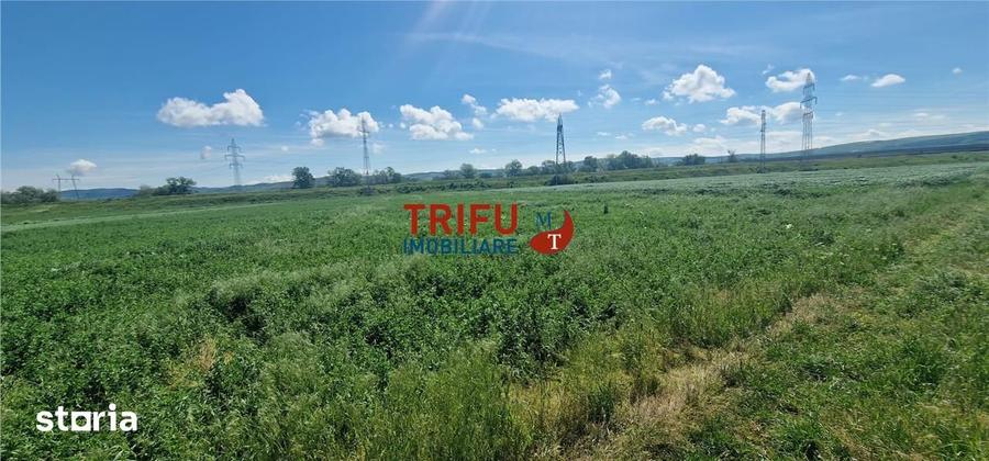 Teren de vanzare zona Soseaua de Centura - 5