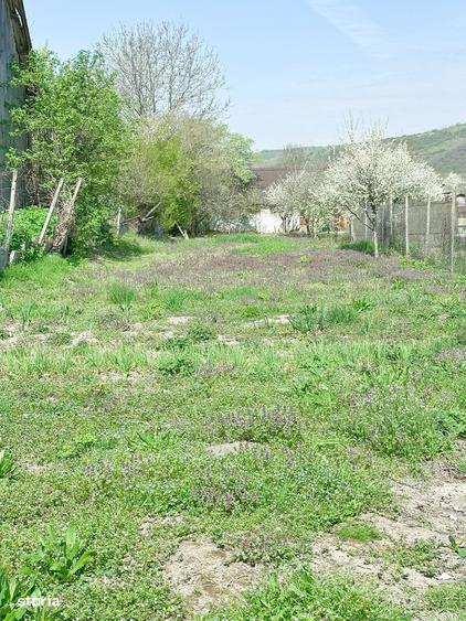 Casa de vanzare Sat Craiesti , Adamus - 7